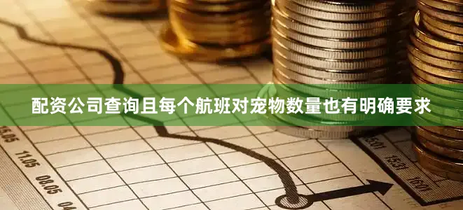 配资公司查询且每个航班对宠物数量也有明确要求